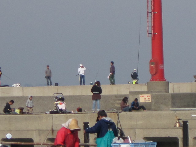 日間賀島堤防釣りのご案内